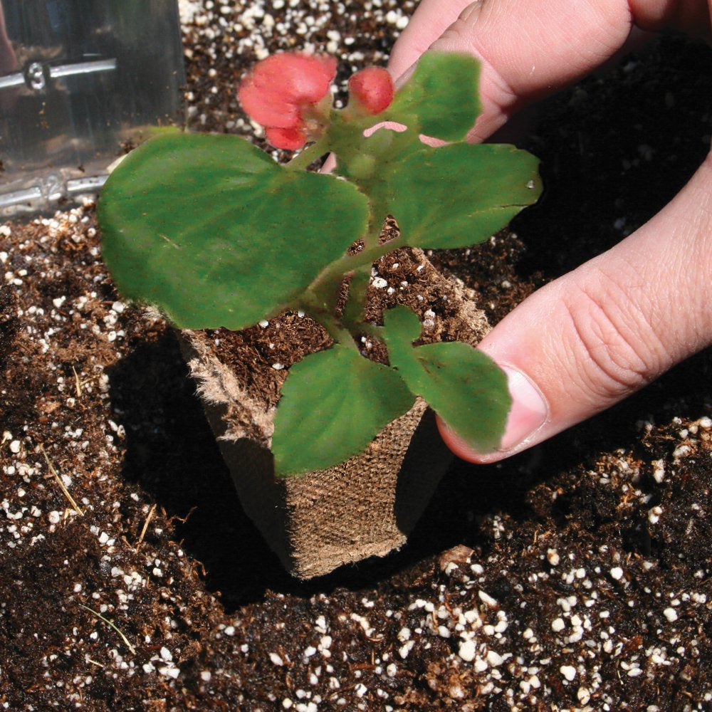 Biodegradable Seed Starting Peat Strips, 4 Strips (32 Pots)