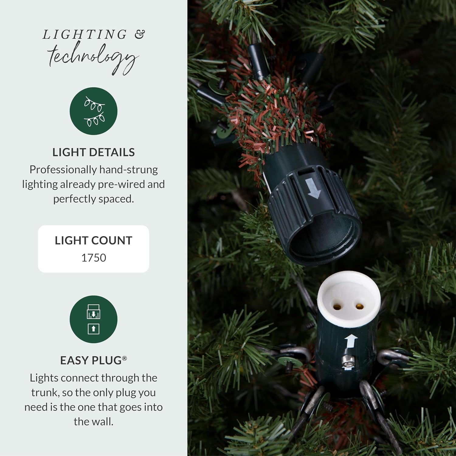BH Fraser Fir - Full Christmas Tree with Most Realistic True Needle Foliage, Easy Plug Technology & Multiple Height and Lighting Options, LED Clear, 12Ft