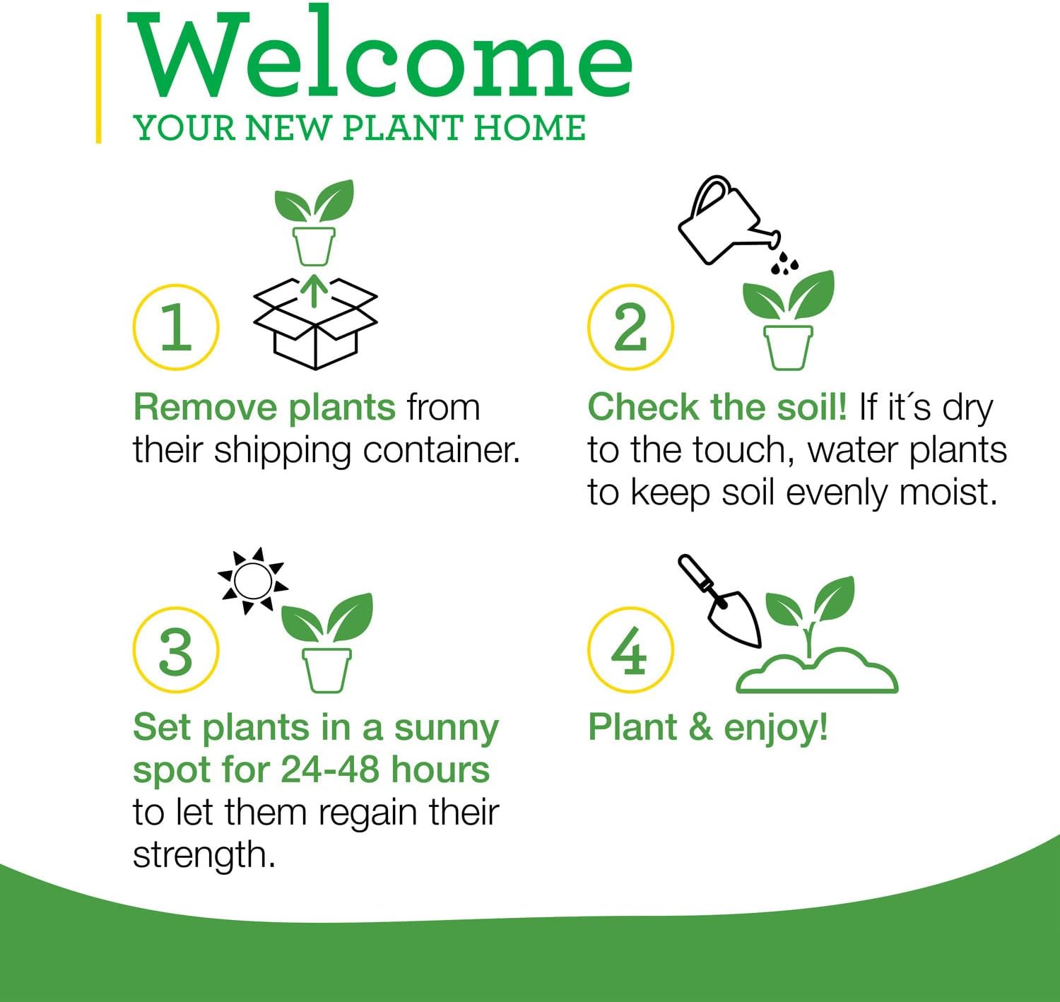 Bonnie Plants Bee Balm Live Plants perennial (4-Pack, 19.3 Oz)