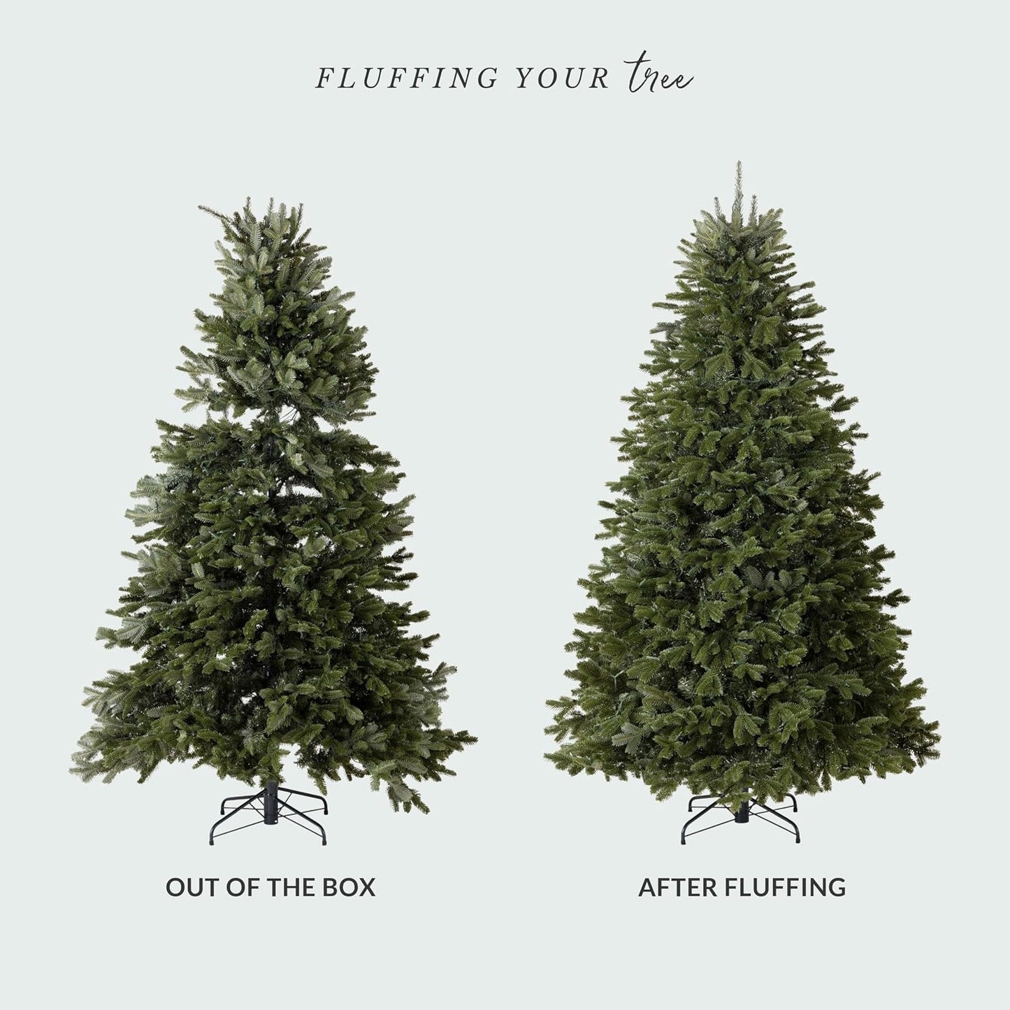 BH Fraser Fir - Full Christmas Tree with Most Realistic True Needle Foliage, Easy Plug Technology & Multiple Height and Lighting Options, LED Clear, 12Ft