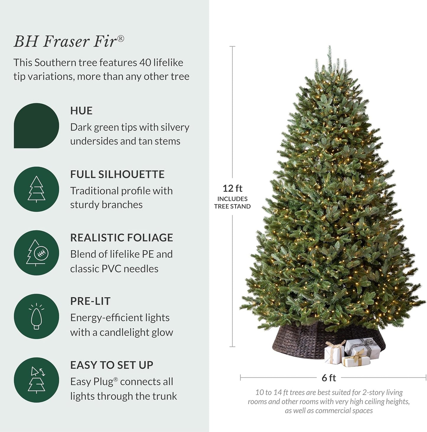 BH Fraser Fir - Full Christmas Tree with Most Realistic True Needle Foliage, Easy Plug Technology & Multiple Height and Lighting Options, LED Clear, 12Ft