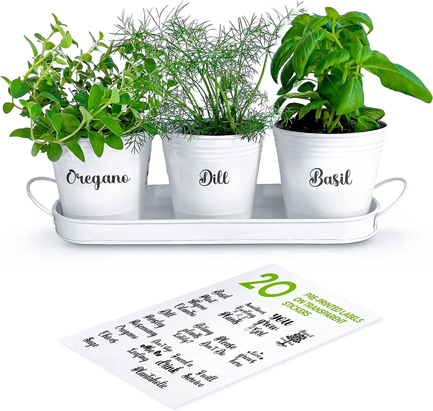 Herb Pot Planter Set with Tray for Indoor Garden or Outdoor Use, White Metal Succulent Potted Planters for Kitchen Windowsill