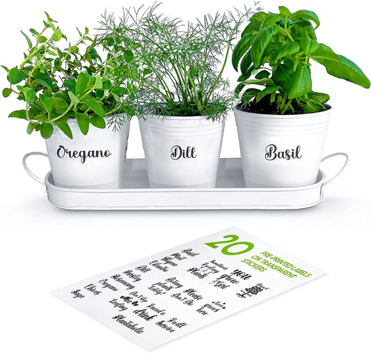 Herb Pot Planter Set with Tray for Indoor Garden or Outdoor Use, White Metal Succulent Potted Planters for Kitchen Windowsill