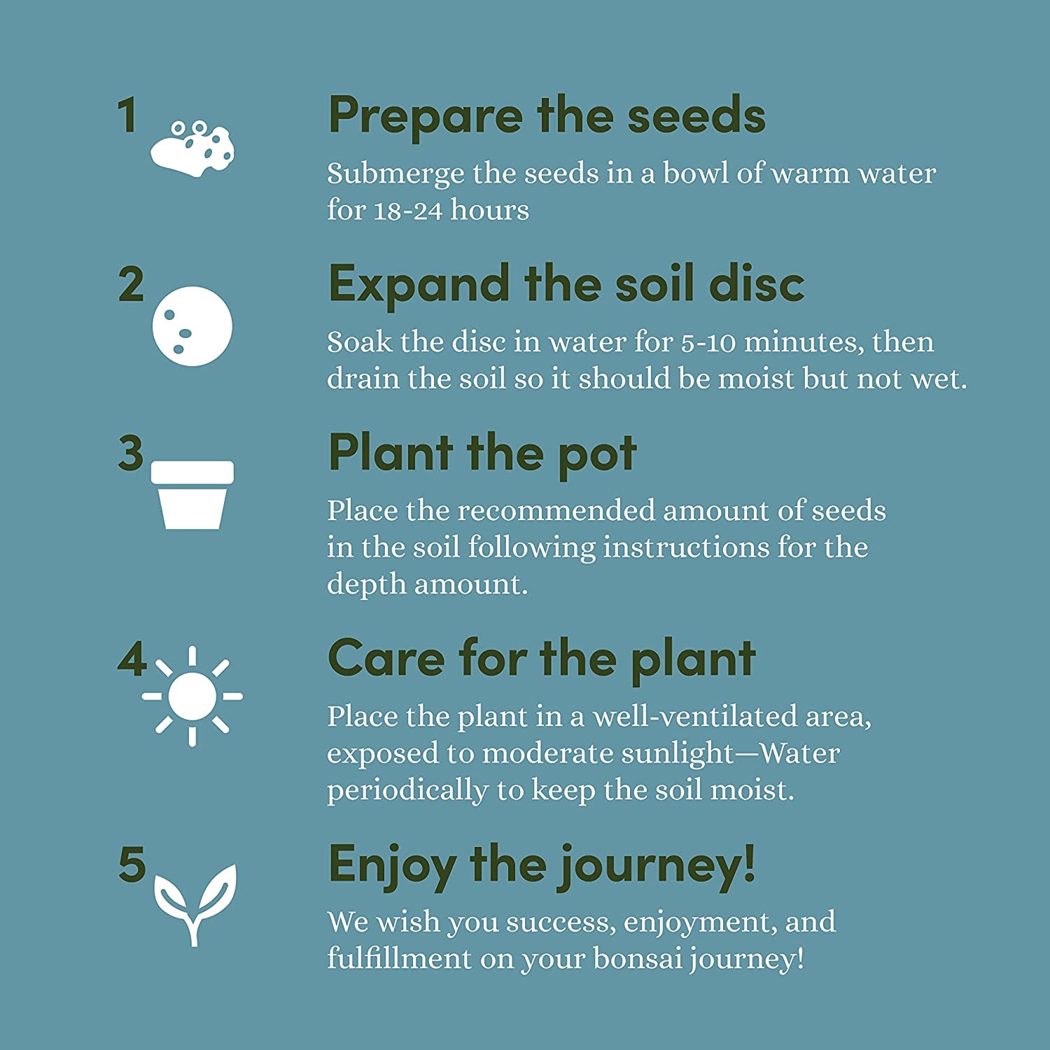 Bonsai Starter Kit - Gardening Gift for Women & Men - Bonsai Tree Growing Garden Crafts Hobby Kits for Adults, Unique DIY Hobbies for Plant Lovers - Unusual Christmas Gifts Ideas, or Gardener Mother