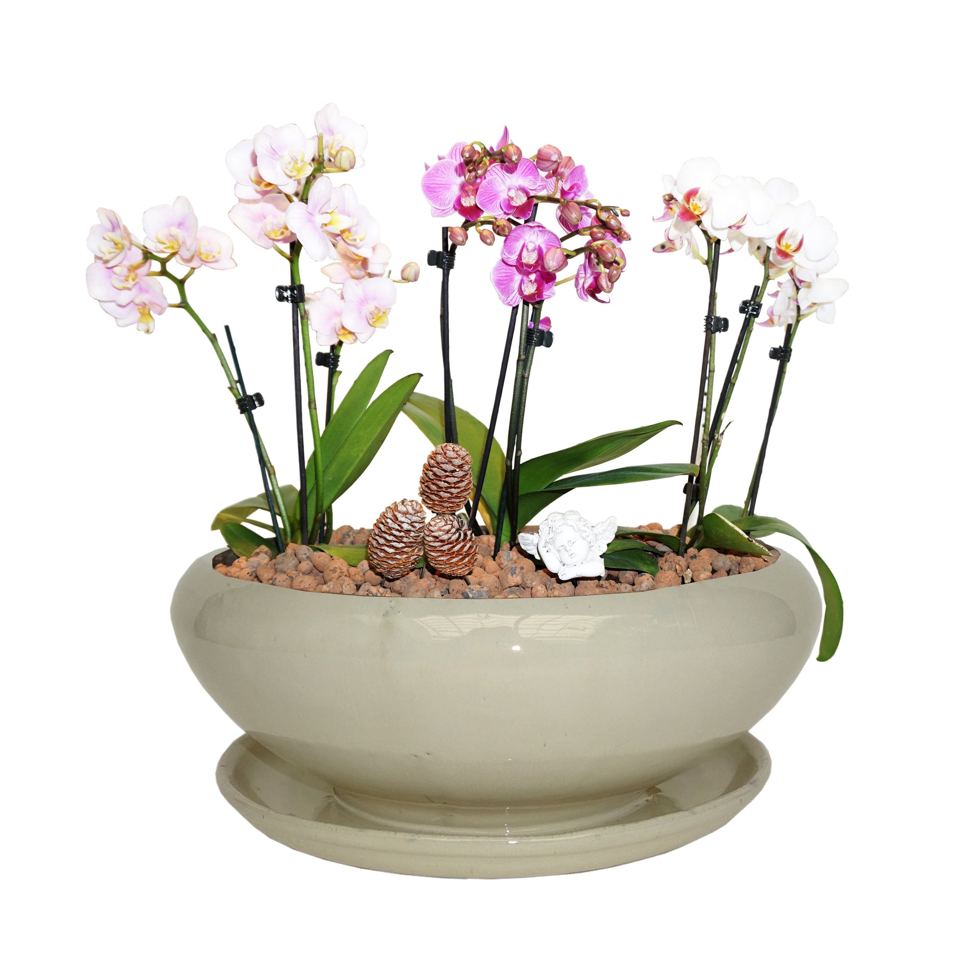 Beautiful 8.27-In X 4.49-In Ceramic Low Bowl Planter with Drainage Holes