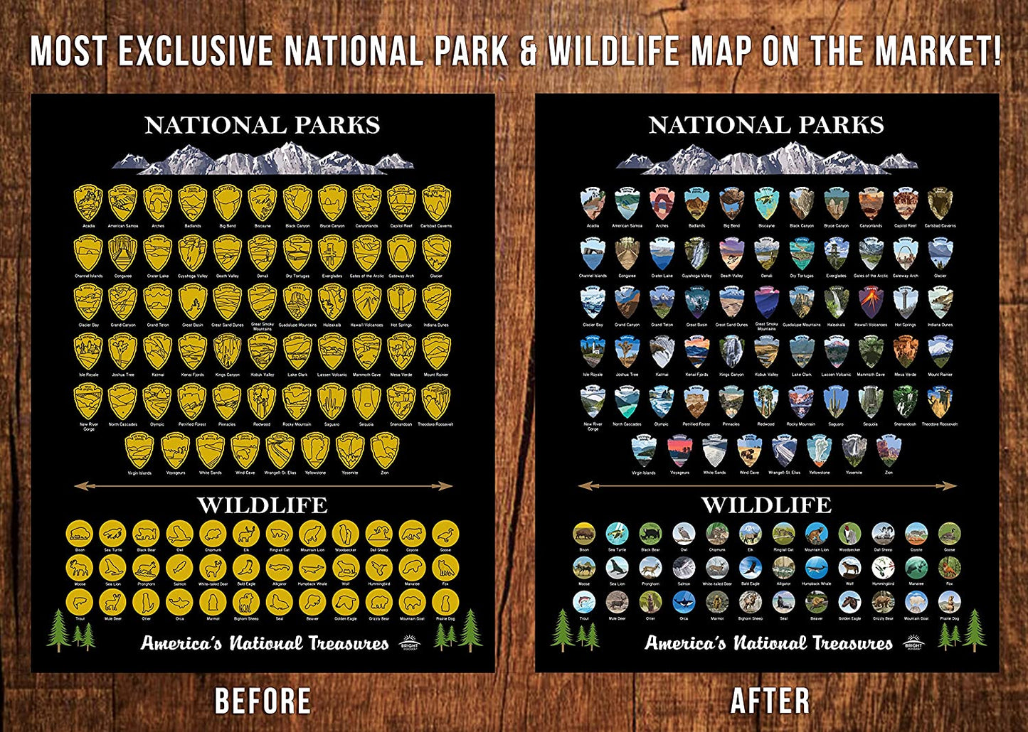 National Parks Scratch off Map of United States Poster [ALL 63 Parks] INCLUDES Wildlife, US Travel Map Print, USA Gift for Travelers Road Trip Adventure Journal, Fits 16”X20” Frame by