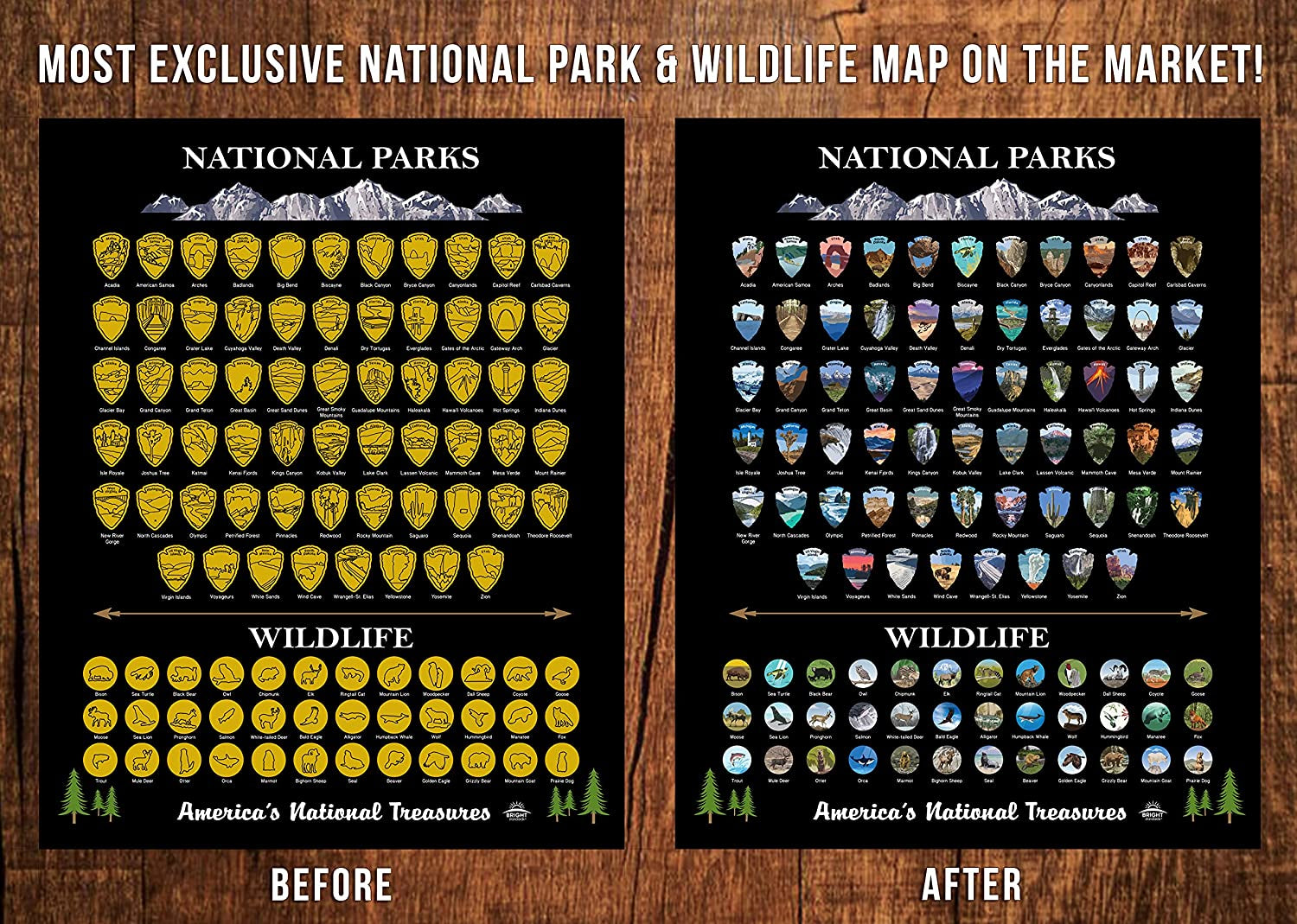 National Parks Scratch off Map of United States Poster [ALL 63 Parks] INCLUDES Wildlife, US Travel Map Print, USA Gift for Travelers Road Trip Adventure Journal, Fits 16”X20” Frame by