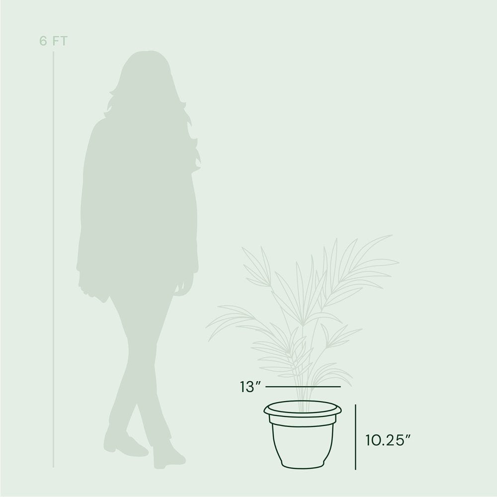 Bloem Ariana Self Watering Planter: 12" - Burnt Red - Durable Resin Pot, for Indoor and Outdoor Use, Self Watering Disk Included, Gardening, 3 Gallon Capacity