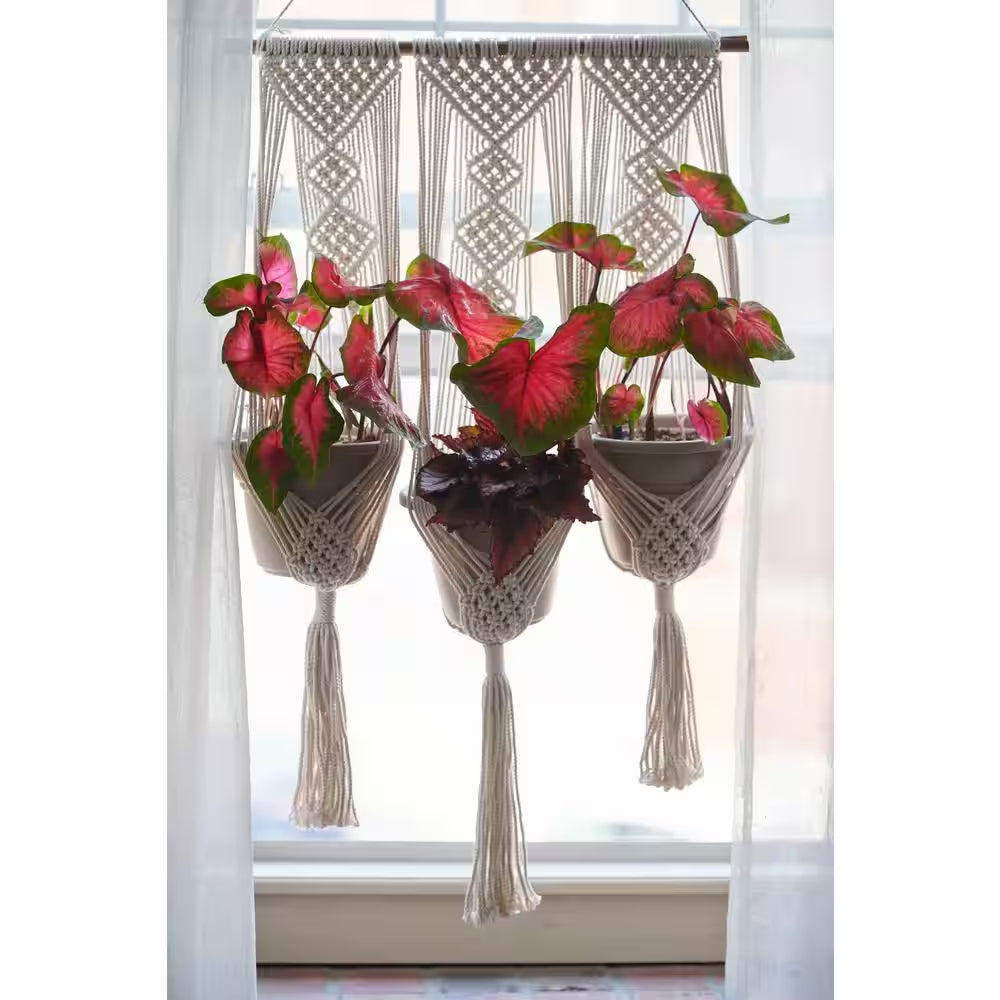 Woven Cotton Triple Pot and Wall Hanger