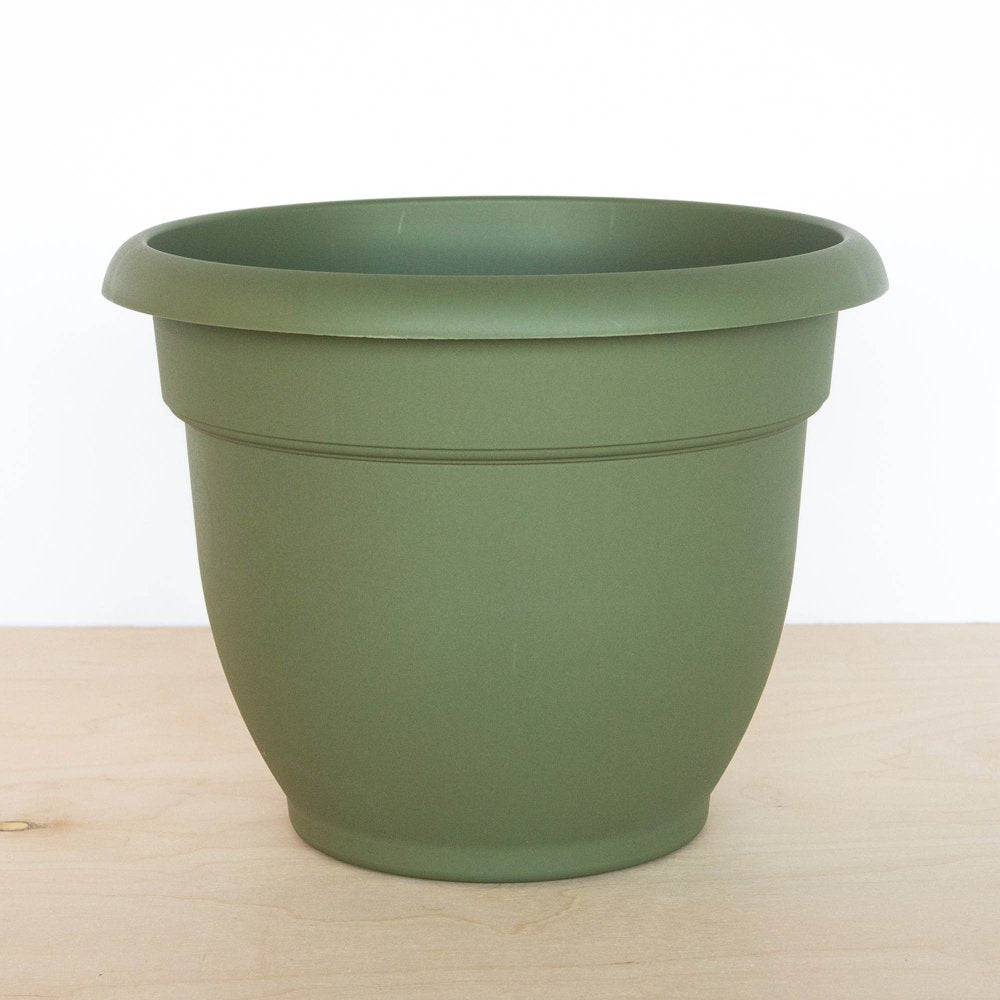 Bloem Ariana Self Watering Planter: 12" - Living Green - Durable Resin Pot, for Indoor and Outdoor Use, Self Watering Disk Included, Gardening, 3 Gallon Capacity