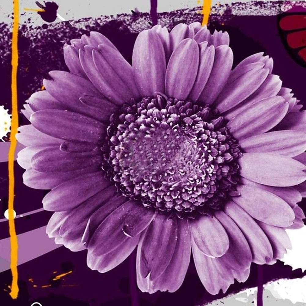 Sunflower Seeds to Plant Purple Sunflower Seeds Ornamental Plant Home Garden Yard Farm Office Decor Non-Gmo Seeds Purple Sunflower Seeds