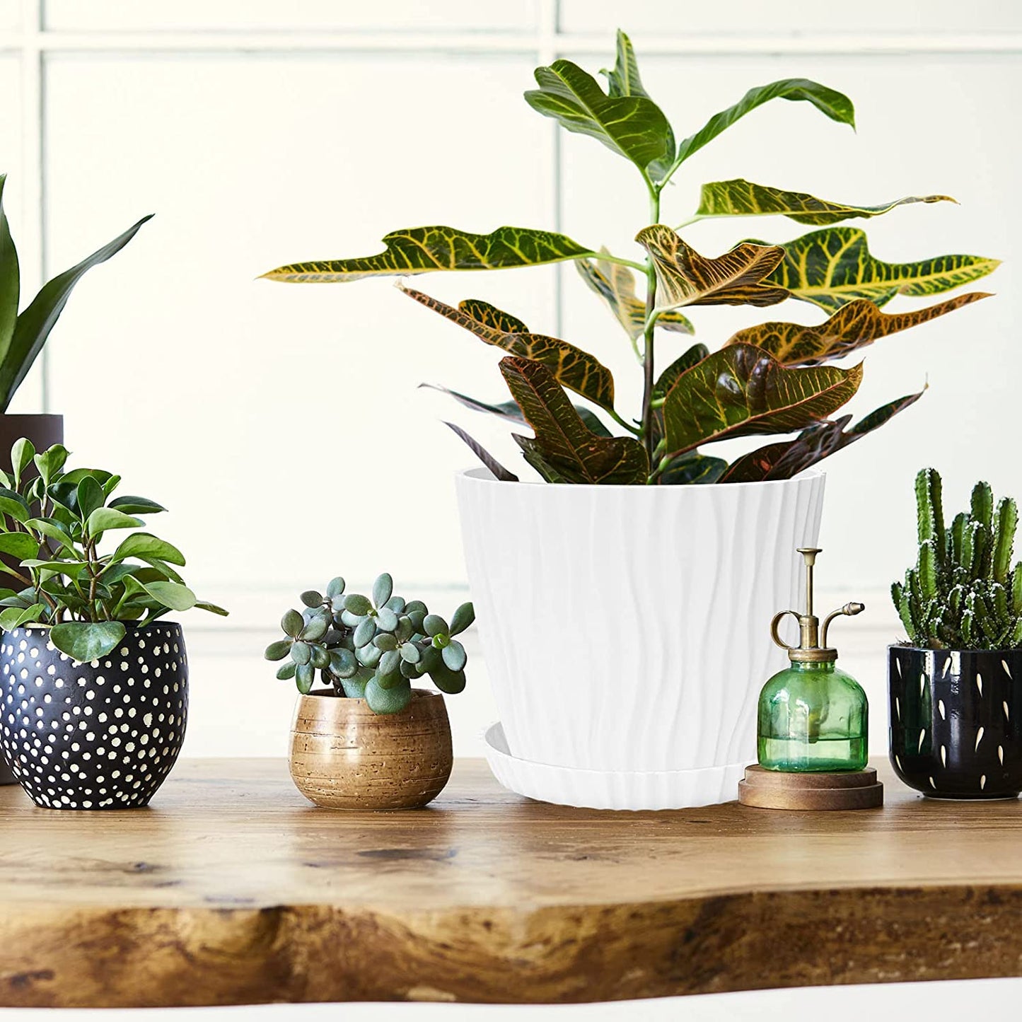 6 Pack Plant Pots, 7Inch White Plastic Flower Pots with Drainage Holes and Saucers, Large Planters for Indoor Plants Modern Decorative Planting Pots Outdoor