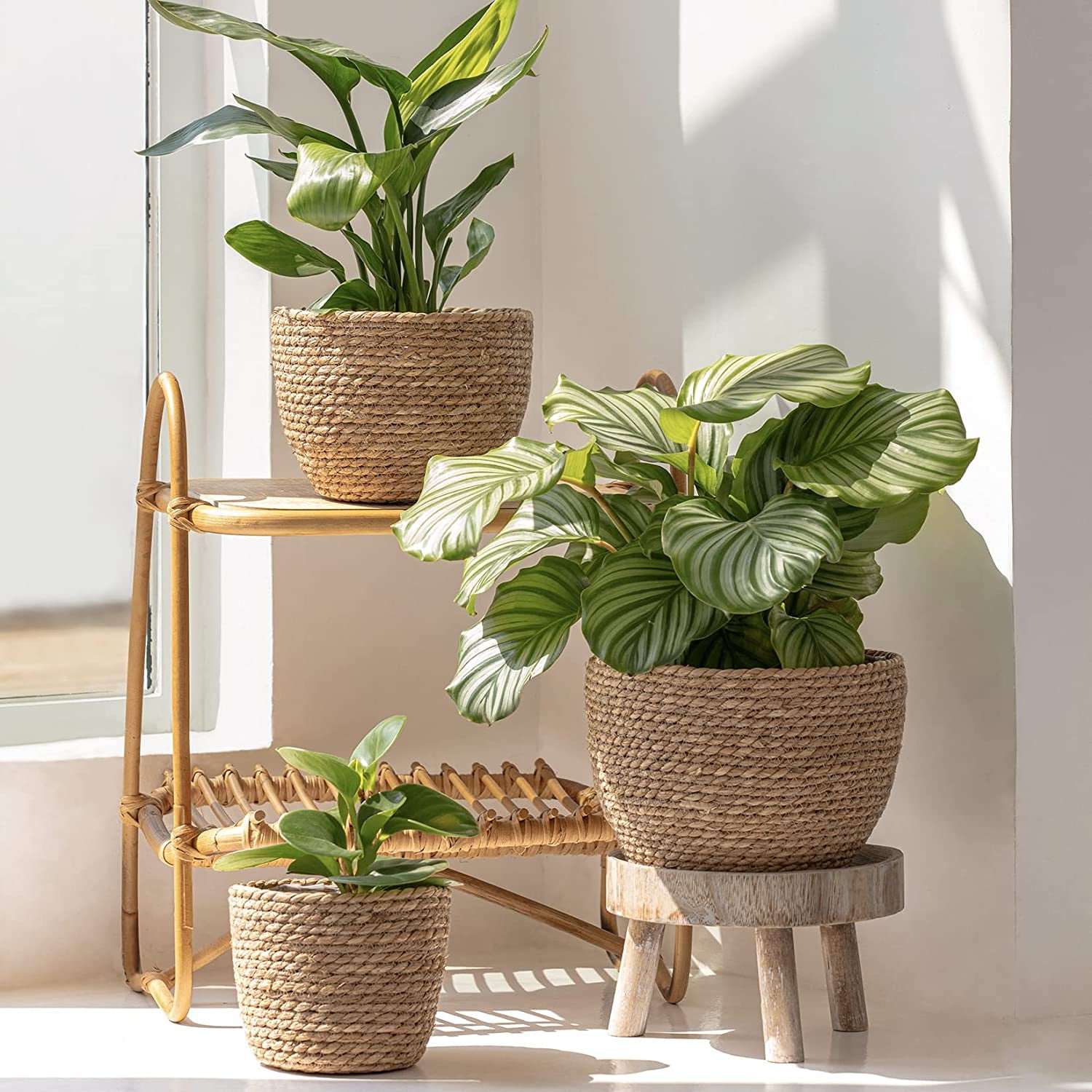 La Jolíe Muse Seagrass Planter Basket Indoor, Flower Pots Cover, Plant Containers, Natural(3-Pack)
