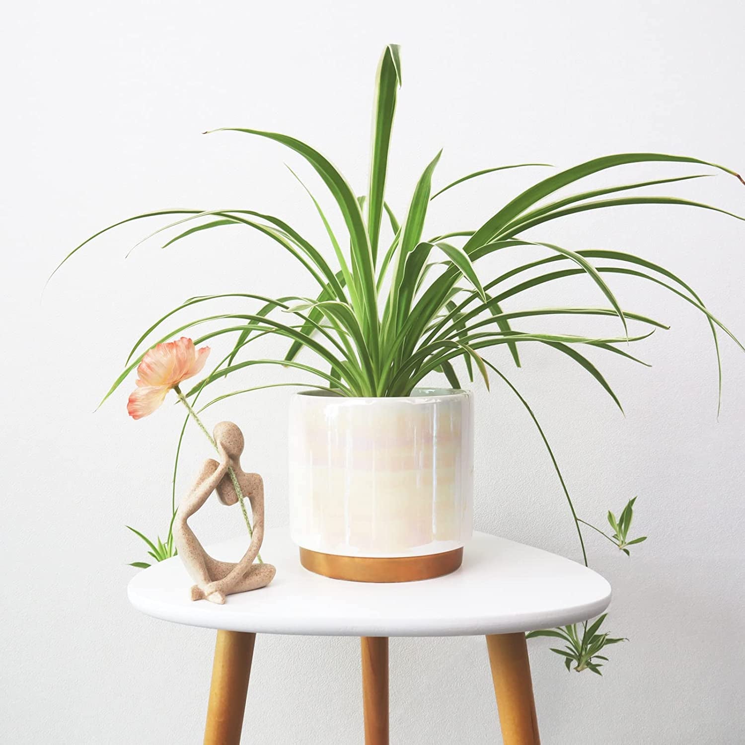 White Indoor Pots for Plants, Ceramic Planter with Drainage Hole, 6.0 Inch+5.0 Inch+4.0 Inch. Succulent Orchid Flower Pot - Rainbow Pearl Glaze