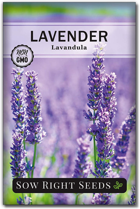 Sow Right Seeds - Lavender Seeds for Planting; Non-Gmo Heirloom Seeds with Instructions to Plant and Grow a Beautiful Indoor or Outdoor Herb Garden; Great Gardening Gift
