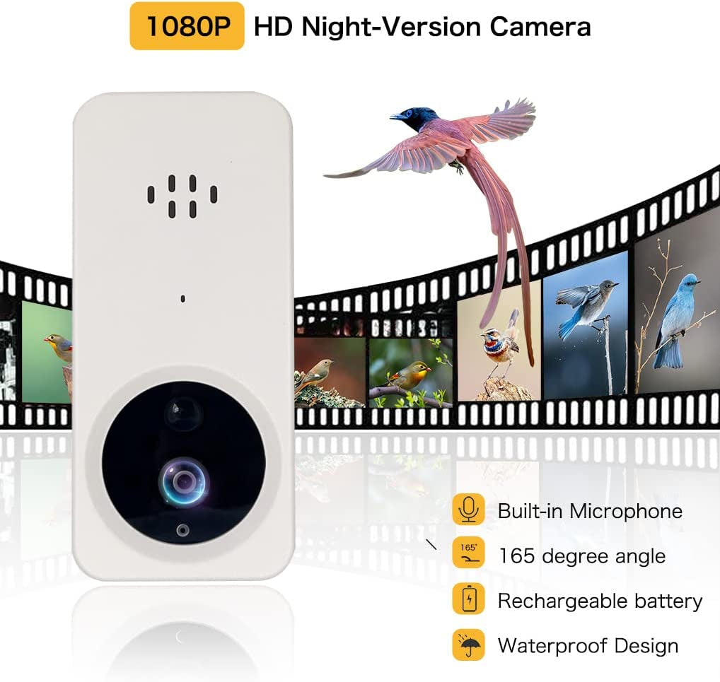 Smart Bird Feeder with Camera, AI Recognition and Bird Sensing, Smart Wild Bird Feeder with APP Connected to 2.4G Wifi, Bird House Bird Feeder with Built-In Microphone, Green