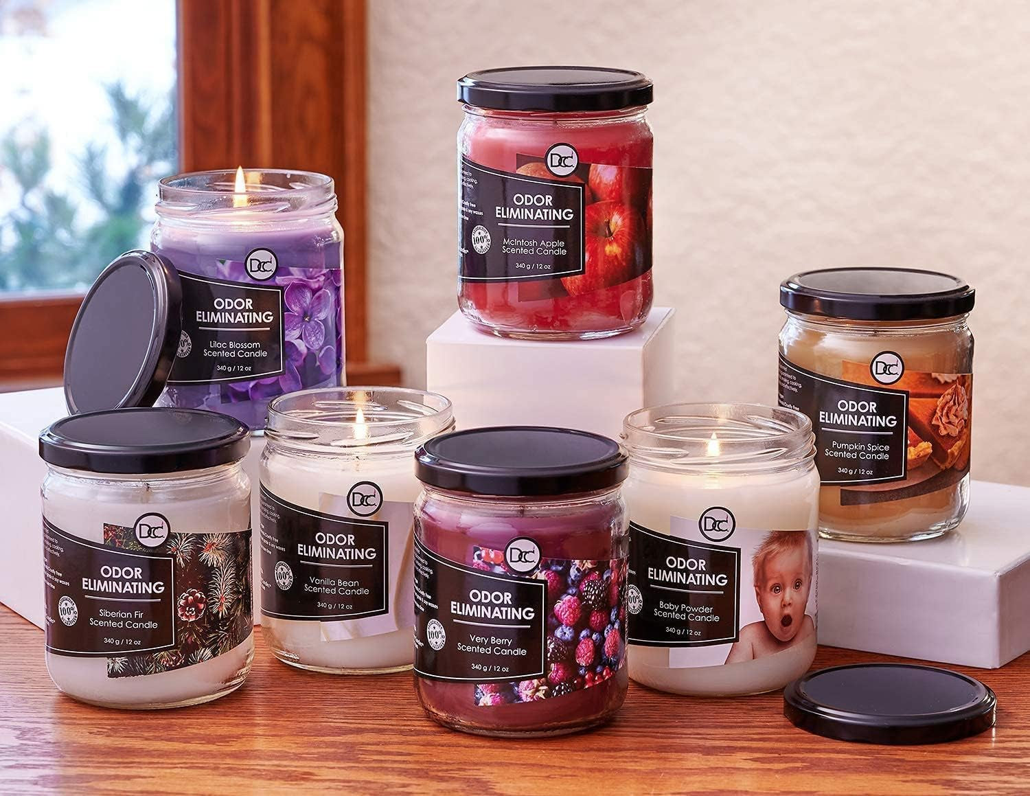 Vanilla Bean Odor Eliminating Highly Fragranced Candle - Eliminates 95% of Pet, Smoke, Food, and Other Smells Quickly - up to 80 Hour Burn Time - 12 Ounce Premium Soy Blend