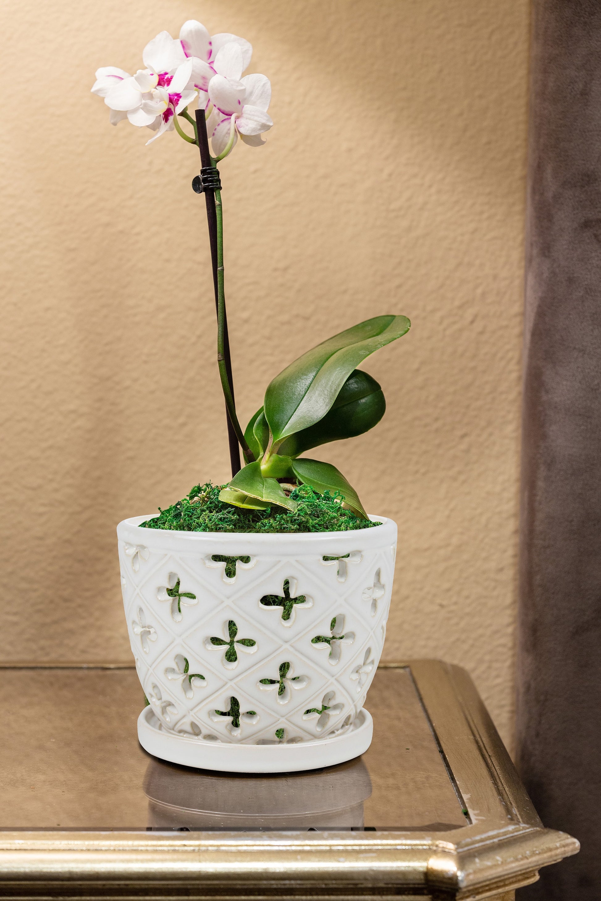 Allen + Roth 8.27-In X 6.81-In  Ceramic Planter with Drainage Holes