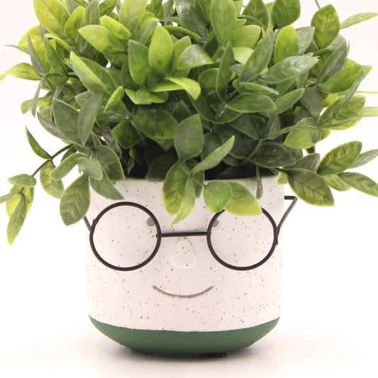 Face Planter Pots Head with Glasses for Indoor Outdoor Plants Cute Unique Succulent Cactus Planter with Drainage Hole Cement 4 Inch (Green)