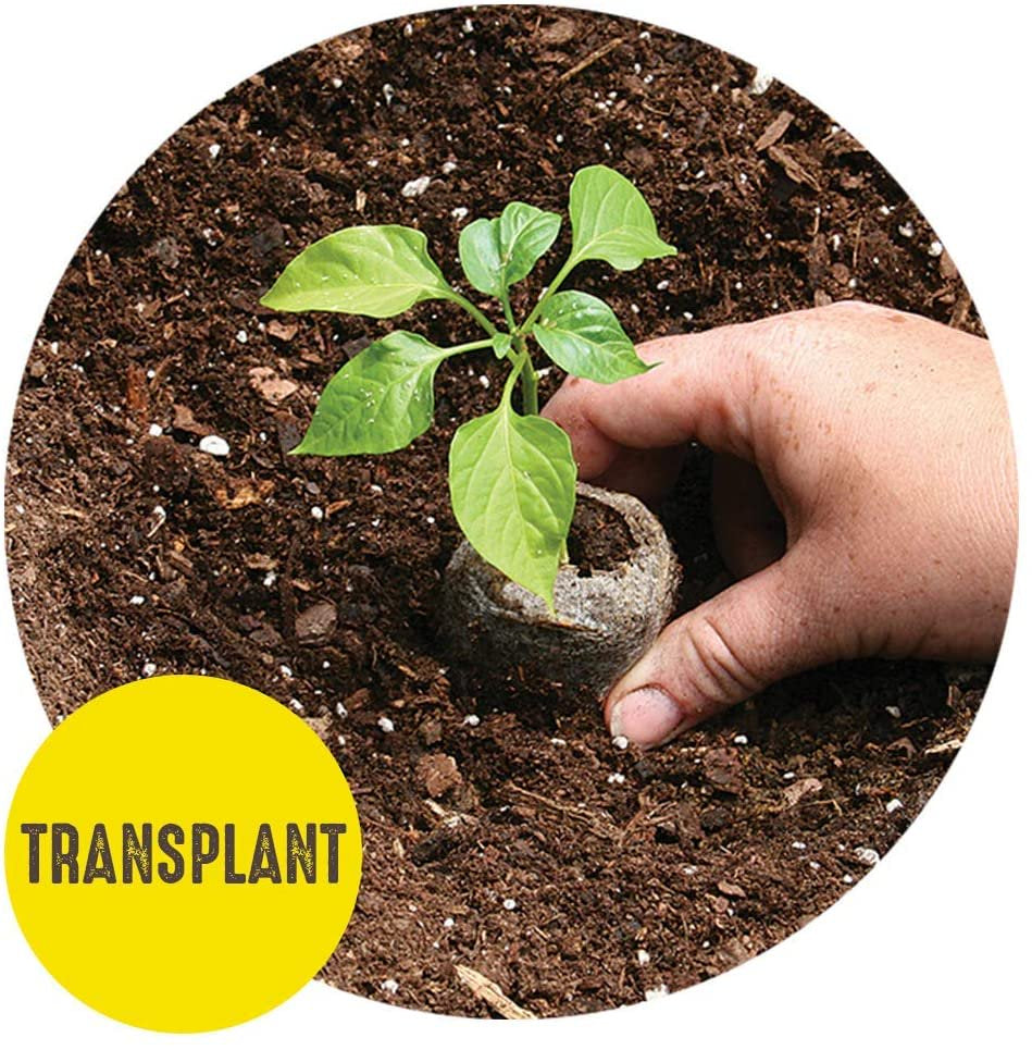 Tomato & Vegetable Seed Starting Greenhouse with 16 Biodegradable 50Mm Peat Pellets