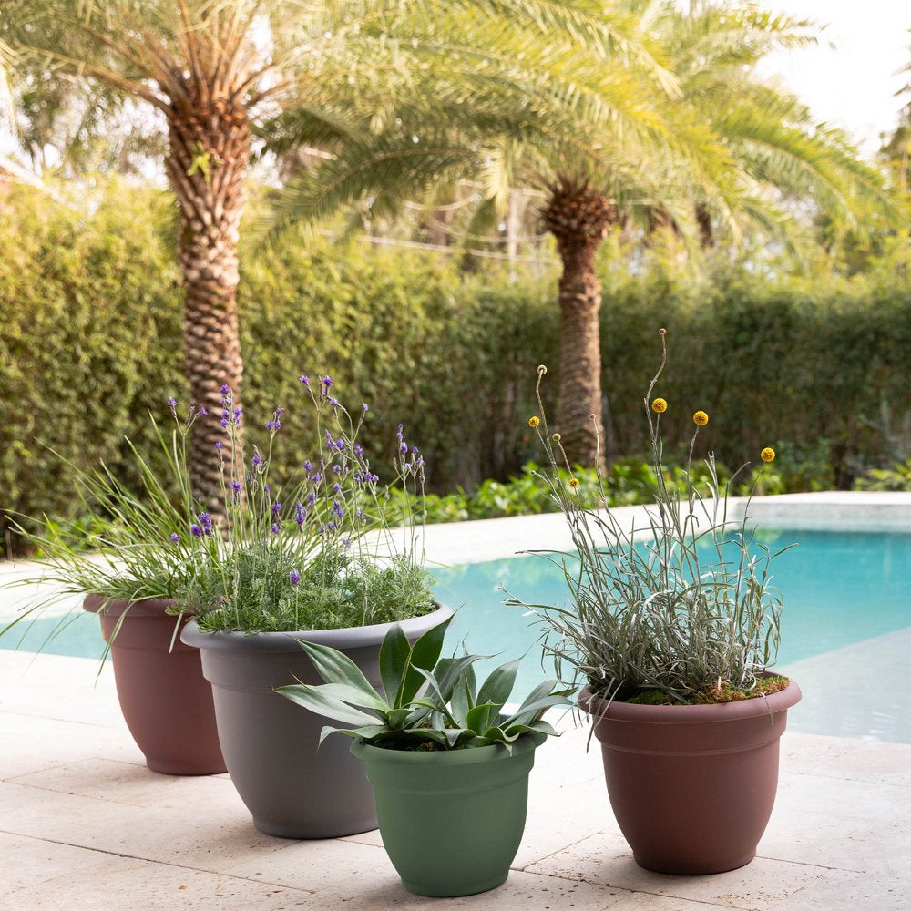Bloem Ariana Self Watering Planter: 12" - Living Green - Durable Resin Pot, for Indoor and Outdoor Use, Self Watering Disk Included, Gardening, 3 Gallon Capacity