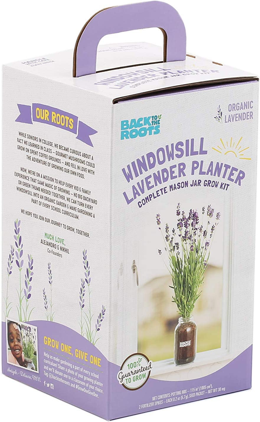 Lavender Organic Windowsill Planter Kit - Grows Year Round, Includes Everything Needed for Planting