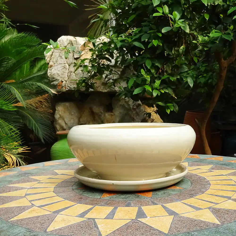 Beautiful 8.27-In X 4.49-In Ceramic Low Bowl Planter with Drainage Holes