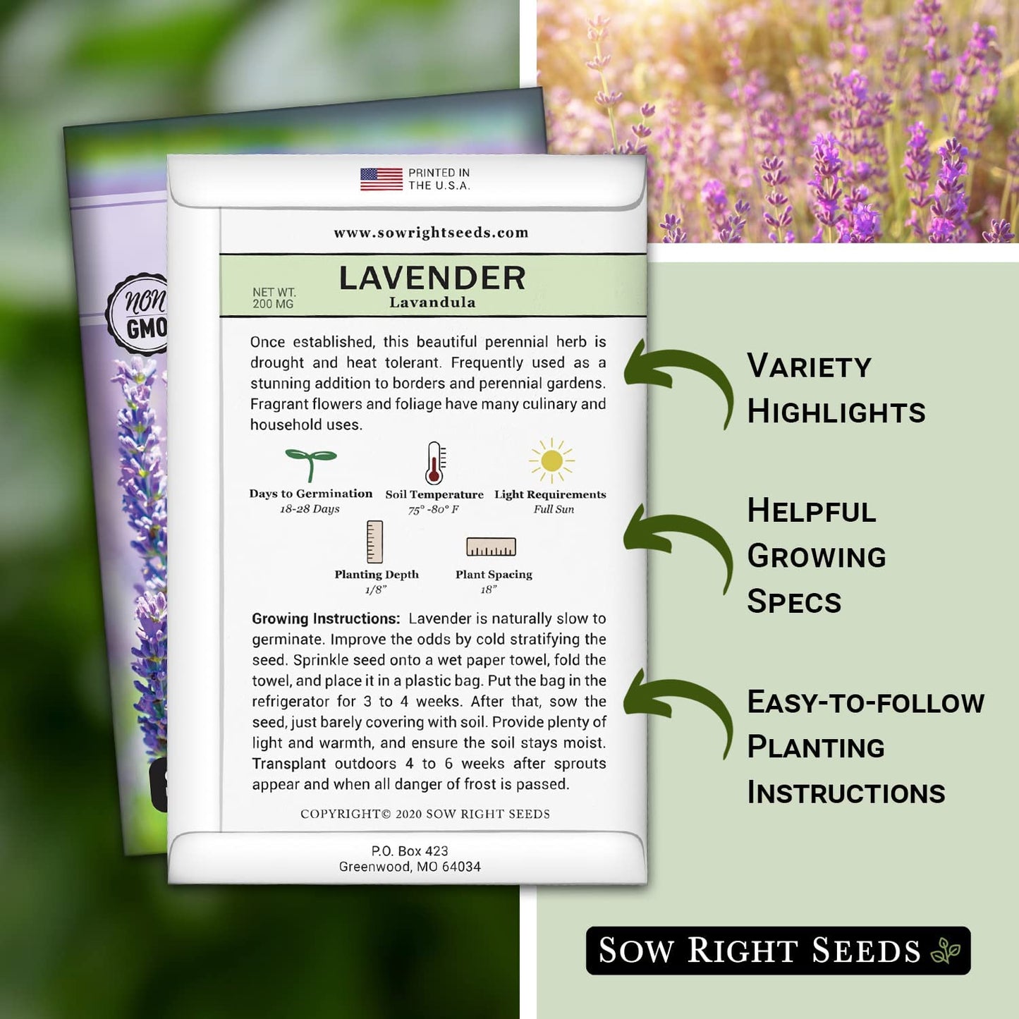 Sow Right Seeds - Lavender Seeds for Planting; Non-Gmo Heirloom Seeds with Instructions to Plant and Grow a Beautiful Indoor or Outdoor Herb Garden; Great Gardening Gift