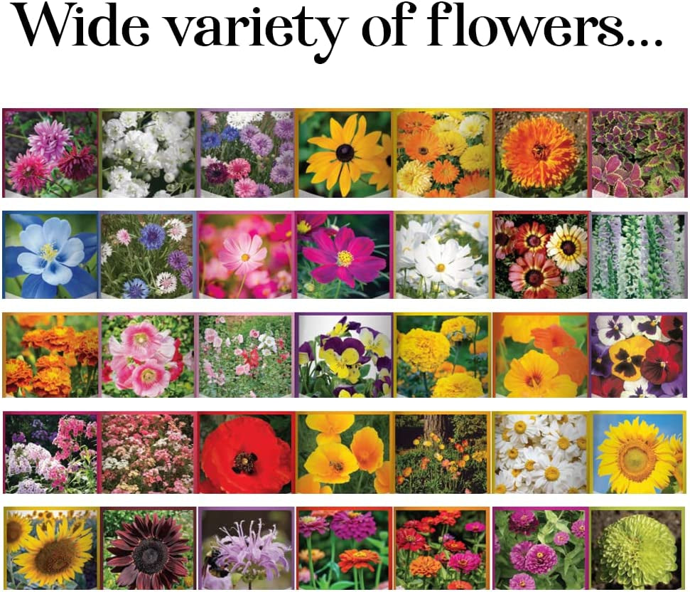 Flower Seeds Packets for Planting 35 Individual Varieties Perennial, Annual, Wildflower Seeds for Planting Outdoors for Bees and Butterflies - Semillas De Flores Hermosas by