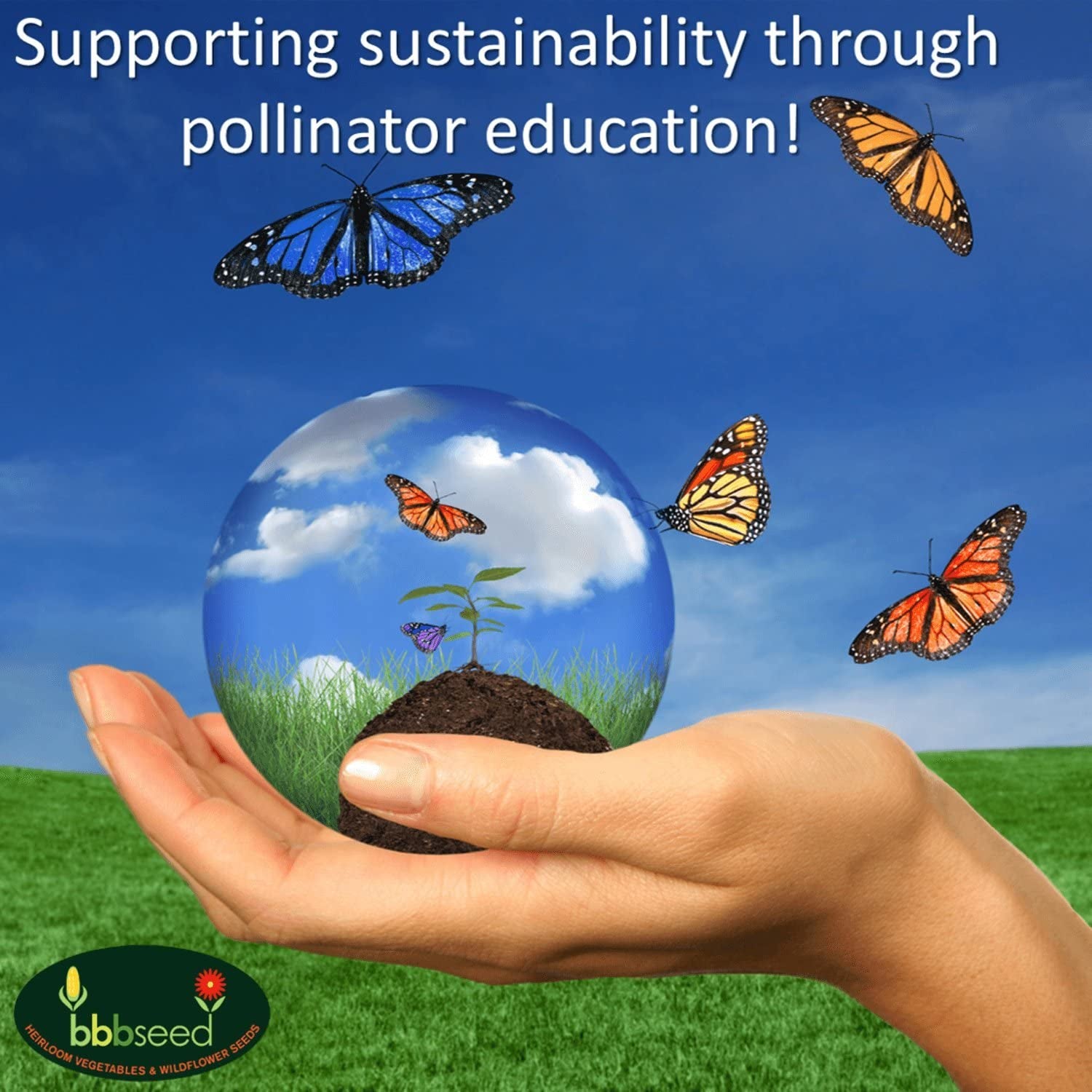 Monarch Butterfly Rescue Wildflower Seeds Bulk Open-Pollinated Wildflower Seed Packet, No Fillers, Annual, Perennial Milkweed Seeds for Monarch Butterfly 1Oz