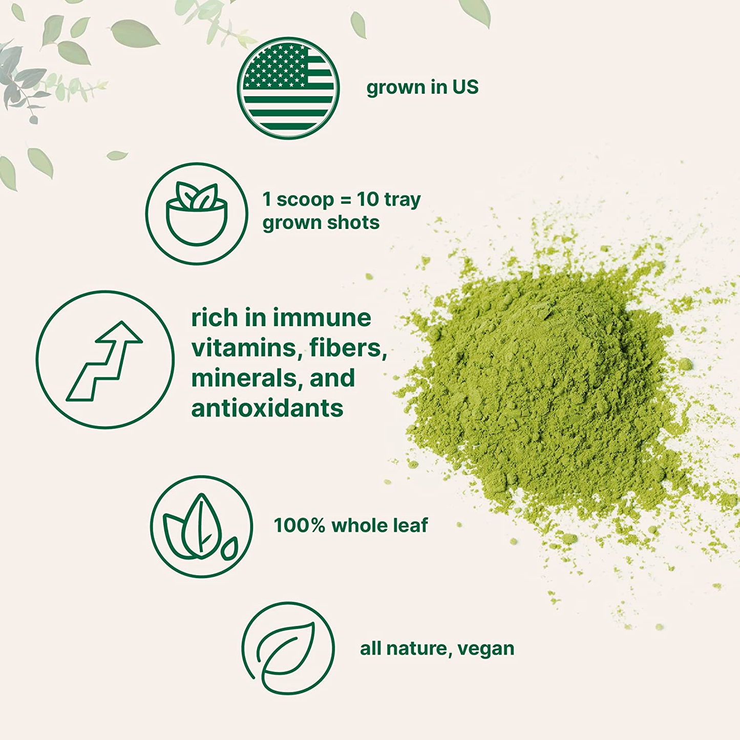 Sustainably US Grown, Organic Wheat Grass Powder (100% Whole-Leaf), 10 Ounce (94 Serving), Rich in Immune Vitamins, Fibers and Minerals, Support Digestion Function, Vegan Friendly
