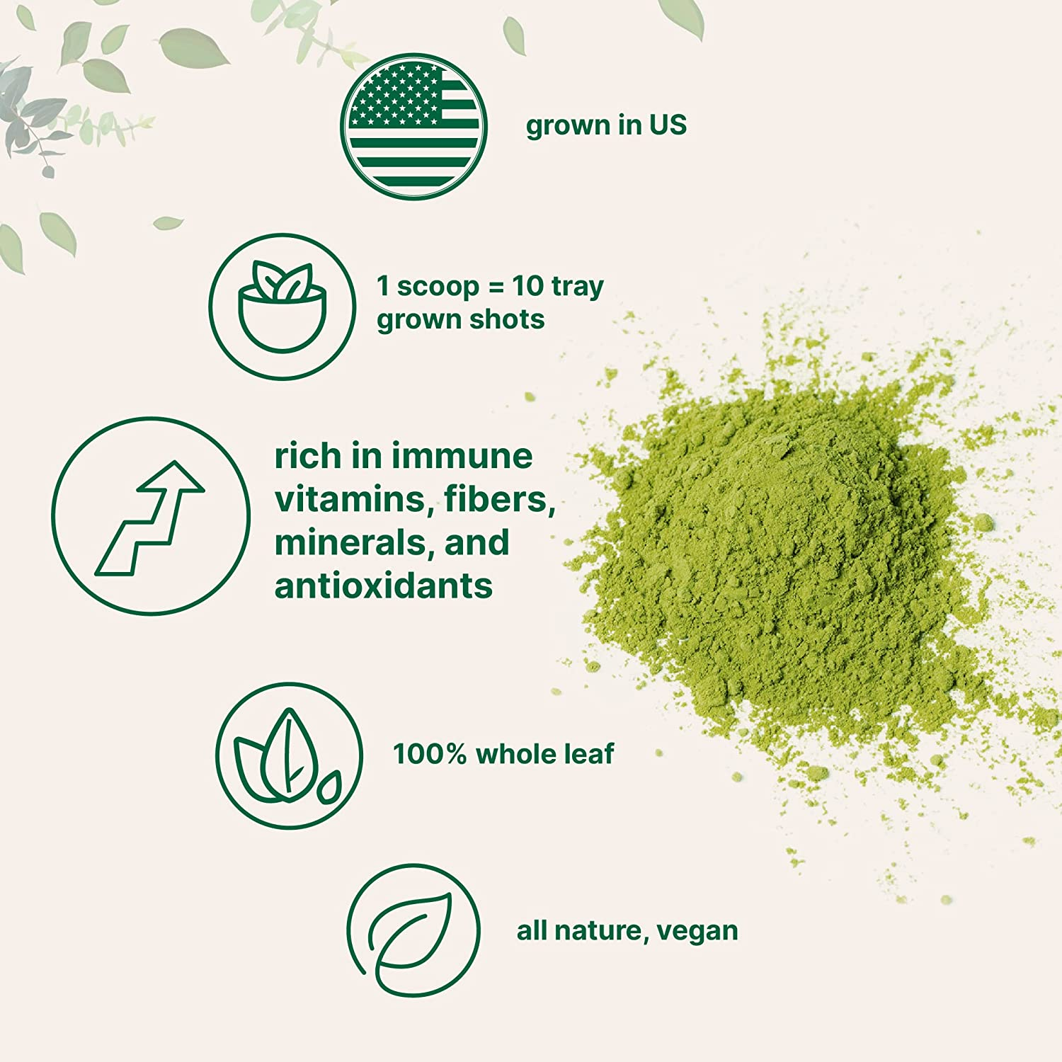 Sustainably US Grown, Organic Wheat Grass Powder (100% Whole-Leaf), 10 Ounce (94 Serving), Rich in Immune Vitamins, Fibers and Minerals, Support Digestion Function, Vegan Friendly