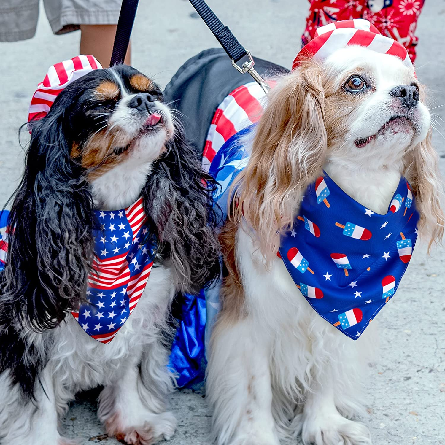 4 Pack 4Th of July Dog Bandanas American Flag Reversible Triangle Dog Bibs Patriotic Stars Stripes Pet Scarf Independence Day Dog Neckerchief for Small Medium Large Pet Cat Dog Memorial Day