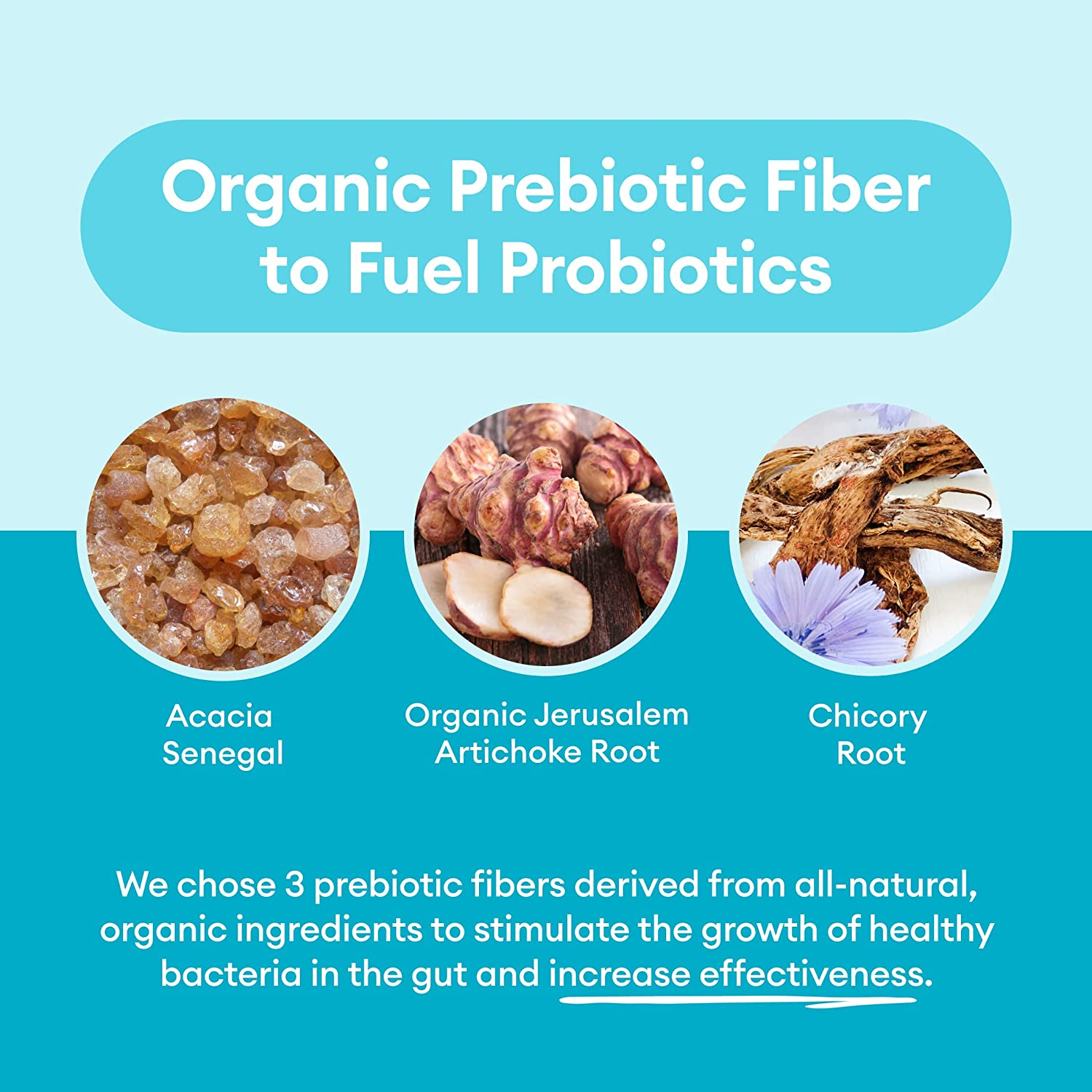 Probiotics 60 Billion CFU - 10 Diverse Strains + Organic Prebiotic - Designed for Overall Digestive Health and Supports Occasional Constipation, Diarrhea, Gas & Bloating - 30 CT