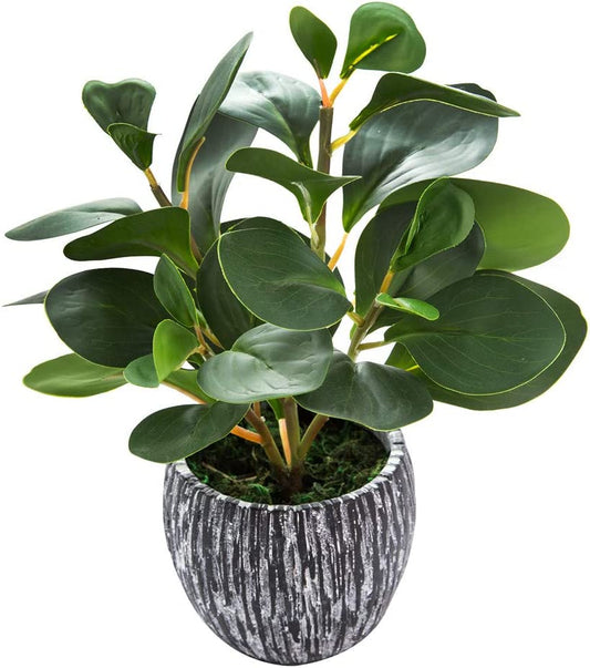 Mini Potted Artificial Plants Real Looking Plastic Fiddle Leaf Fig Plant with Rustic Black Cement Planter for House Office Desk Decor