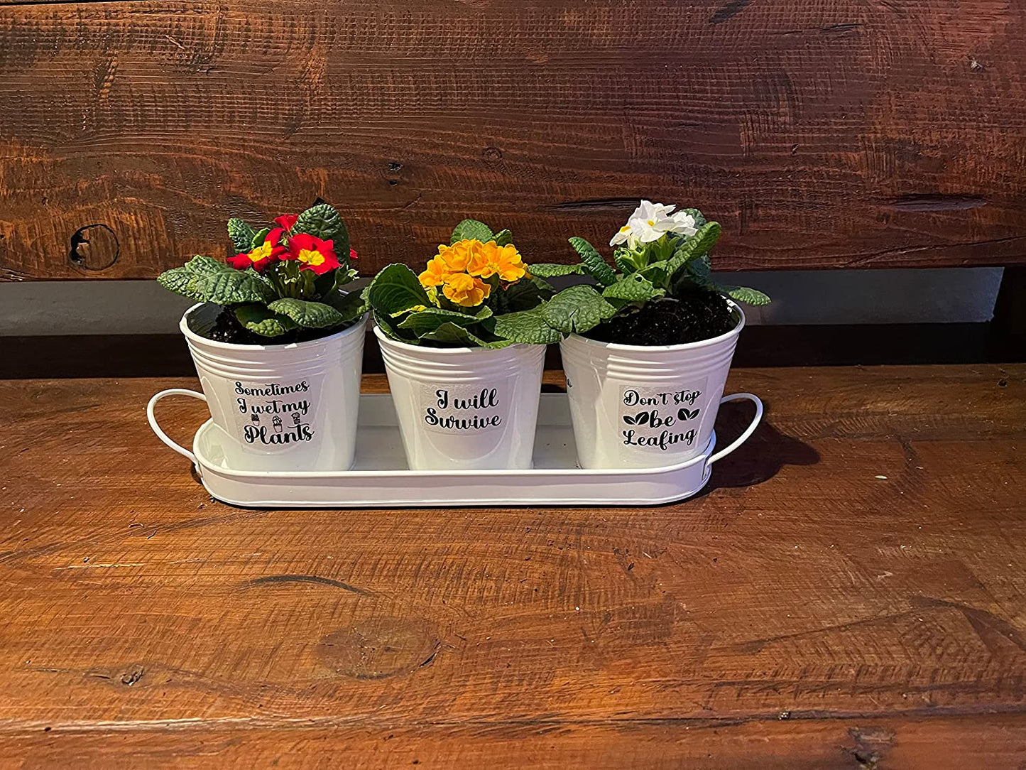 Herb Pot Planter Set with Tray for Indoor Garden or Outdoor Use, White Metal Succulent Potted Planters for Kitchen Windowsill