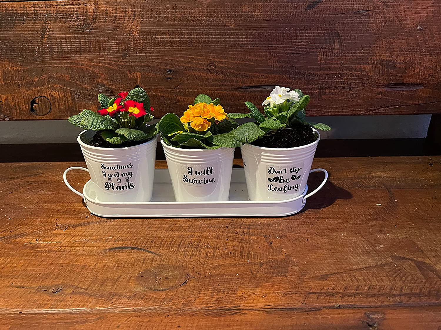 Herb Pot Planter Set with Tray for Indoor Garden or Outdoor Use, White Metal Succulent Potted Planters for Kitchen Windowsill