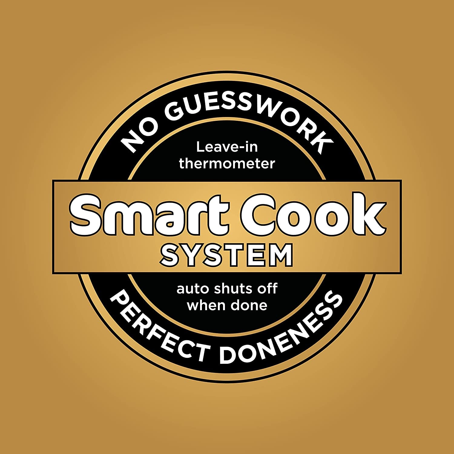 DG551 Foodi Smart XL 6-In-1 Indoor Grill with Air Fry, Roast, Bake, Broil, & Dehydrate, Foodi Smart Thermometer, 2Nd Generation, Black/Silver