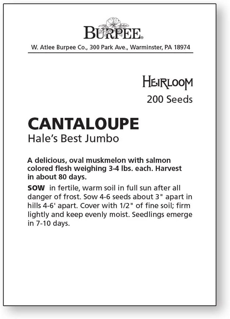 Hale'S Best Jumbo Cantaloupe Melon Seeds 200 Seeds