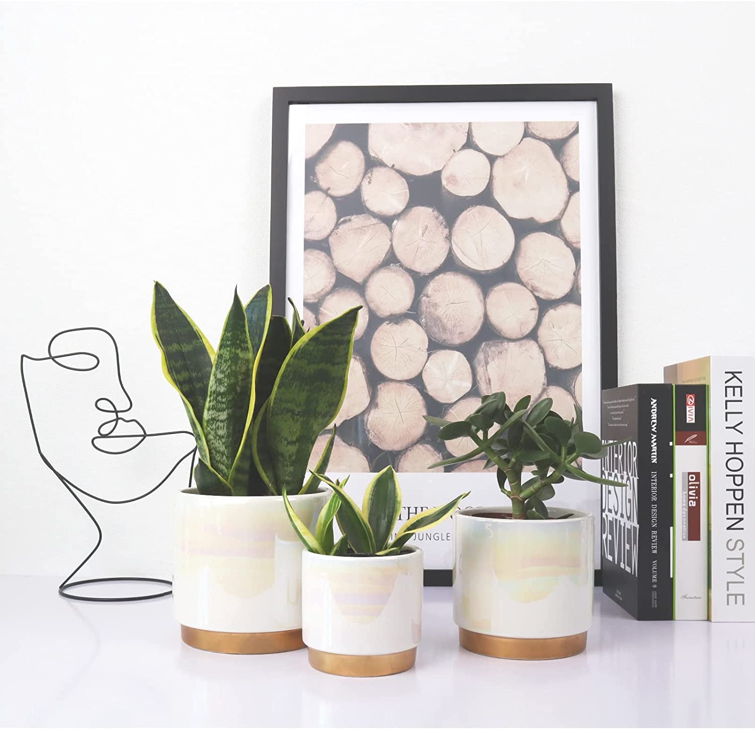 White Indoor Pots for Plants, Ceramic Planter with Drainage Hole, 6.0 Inch+5.0 Inch+4.0 Inch. Succulent Orchid Flower Pot - Rainbow Pearl Glaze