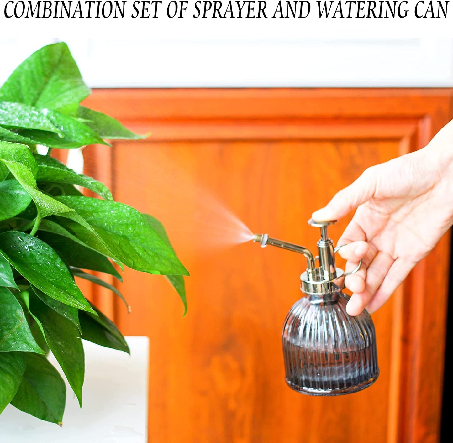 Watering Can for Indoor Plants,Indoor Watering Can for House Bonsai Plants,35Oz Steel Watering Can with Easy Pour Long Spout,Cute Houseplant Watering Can (Black)