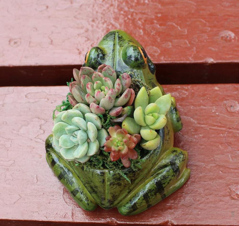 Resin Frog Shape Succulent Planter Pot Flower Pot Lifelike Frog Planter