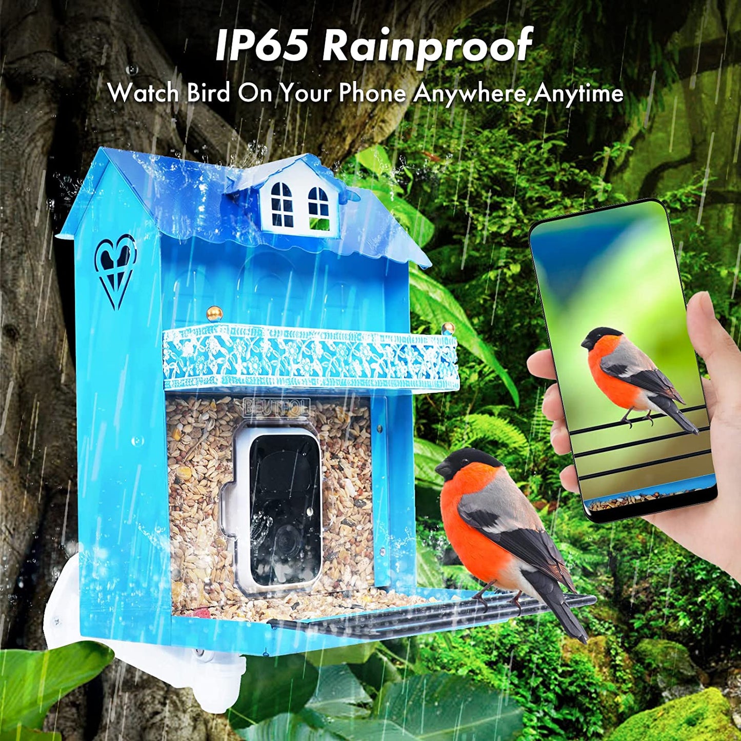 Smart Bird Feeder with Camera,Bird Feeder Camera Auto Capture Birds and Notify,Ip65 Rainproof 1080P HD Full Color Night Vision Bird House Camera,Free 32G SD Card, Ideal Gift for Family