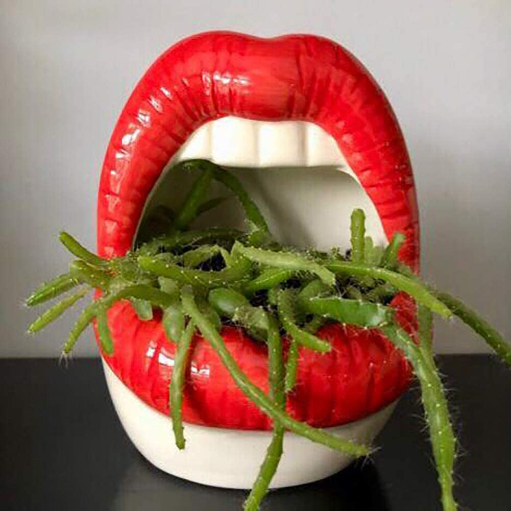 Lemonadeus Multi-Role Ceramic Sexy Lips Planter Stylish Lip Pot/Gadget Storage Mouth Planter Unique Ash Tray Ceramic Container (Red)