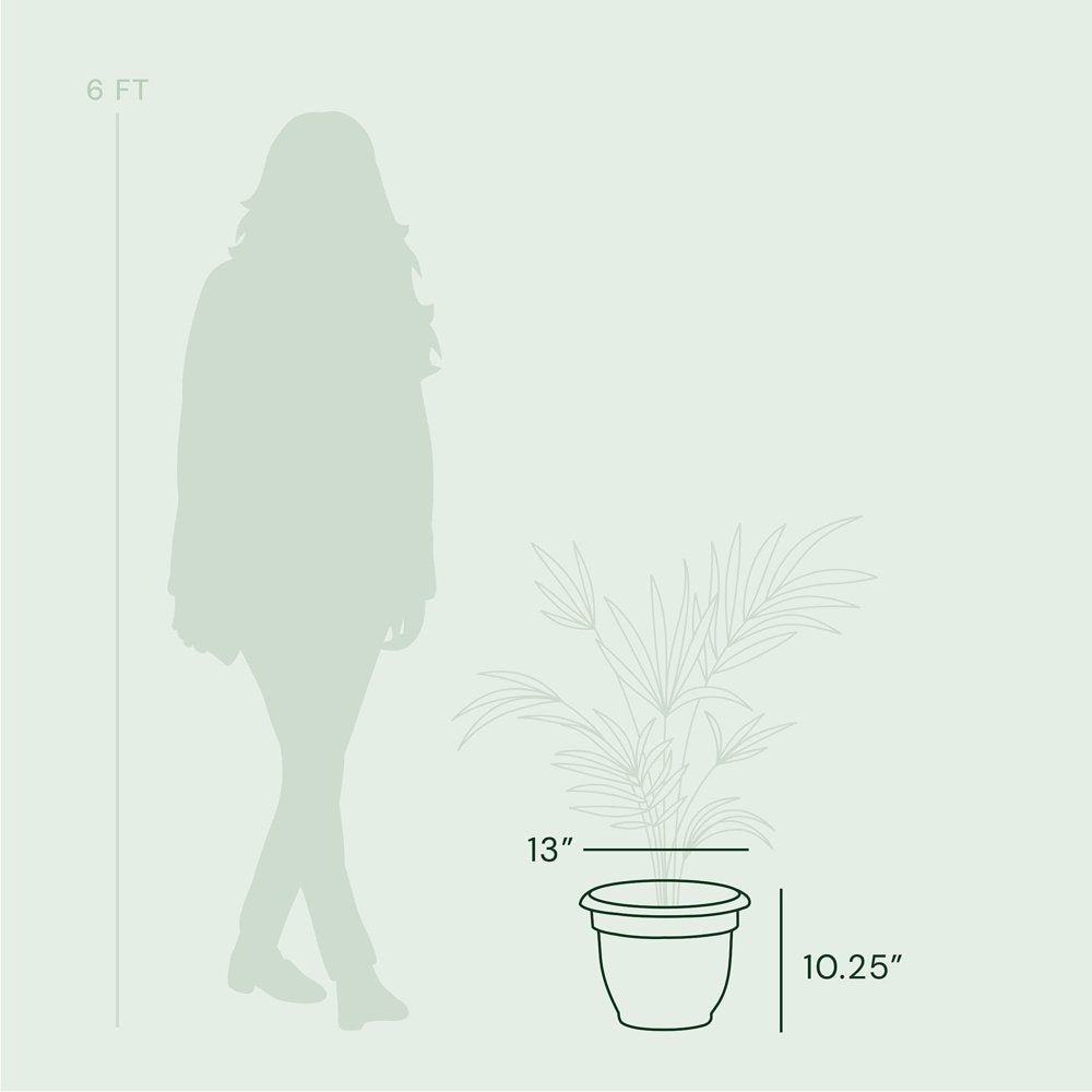 Bloem Ariana Self Watering Planter: 12" - Living Green - Durable Resin Pot, for Indoor and Outdoor Use, Self Watering Disk Included, Gardening, 3 Gallon Capacity