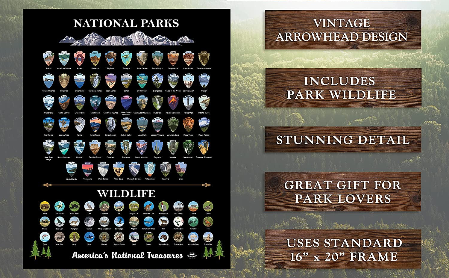 National Parks Scratch off Map of United States Poster [ALL 63 Parks] INCLUDES Wildlife, US Travel Map Print, USA Gift for Travelers Road Trip Adventure Journal, Fits 16”X20” Frame by