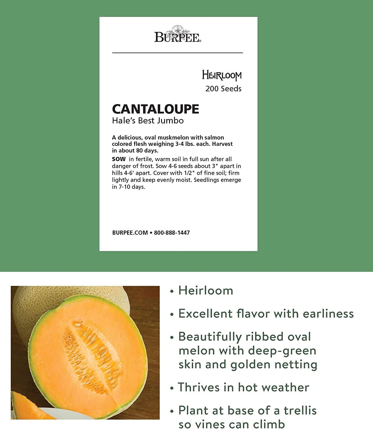 Hale'S Best Jumbo Cantaloupe Melon Seeds 200 Seeds