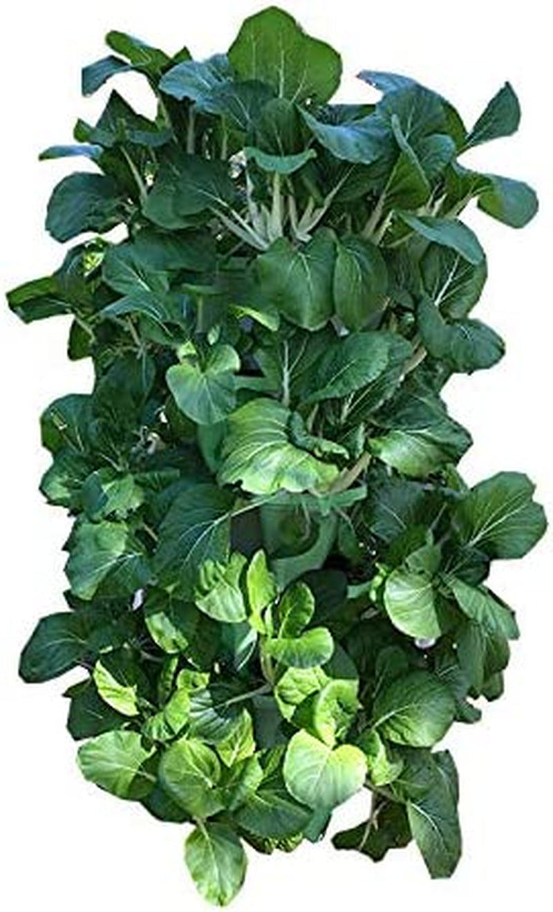 © 5-Tier 13 Inch Wide - (Stone Color) Strawberry and Herb Garden Planter - Stackable Gardening Pots with 10 Inch Saucer