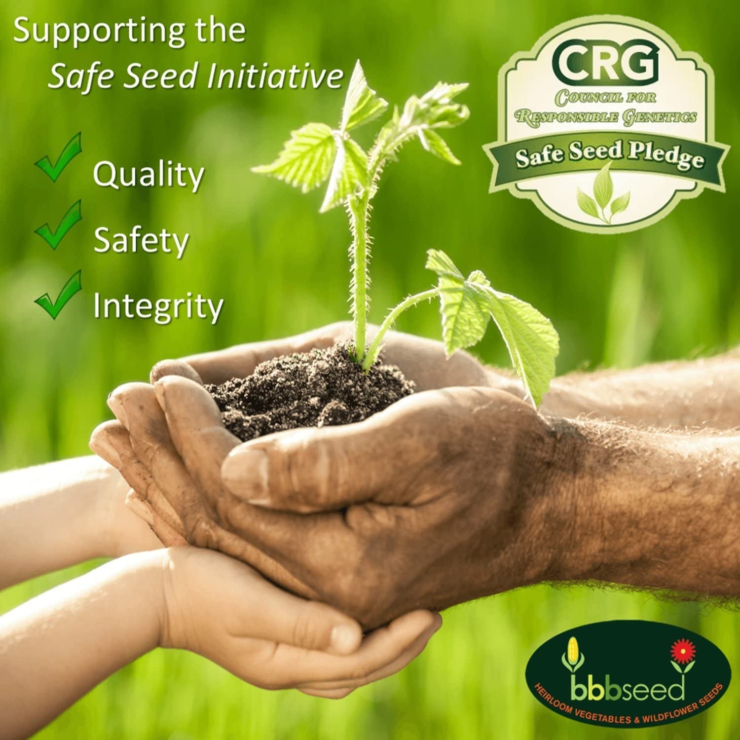 Monarch Butterfly Rescue Wildflower Seeds Bulk Open-Pollinated Wildflower Seed Packet, No Fillers, Annual, Perennial Milkweed Seeds for Monarch Butterfly 1Oz