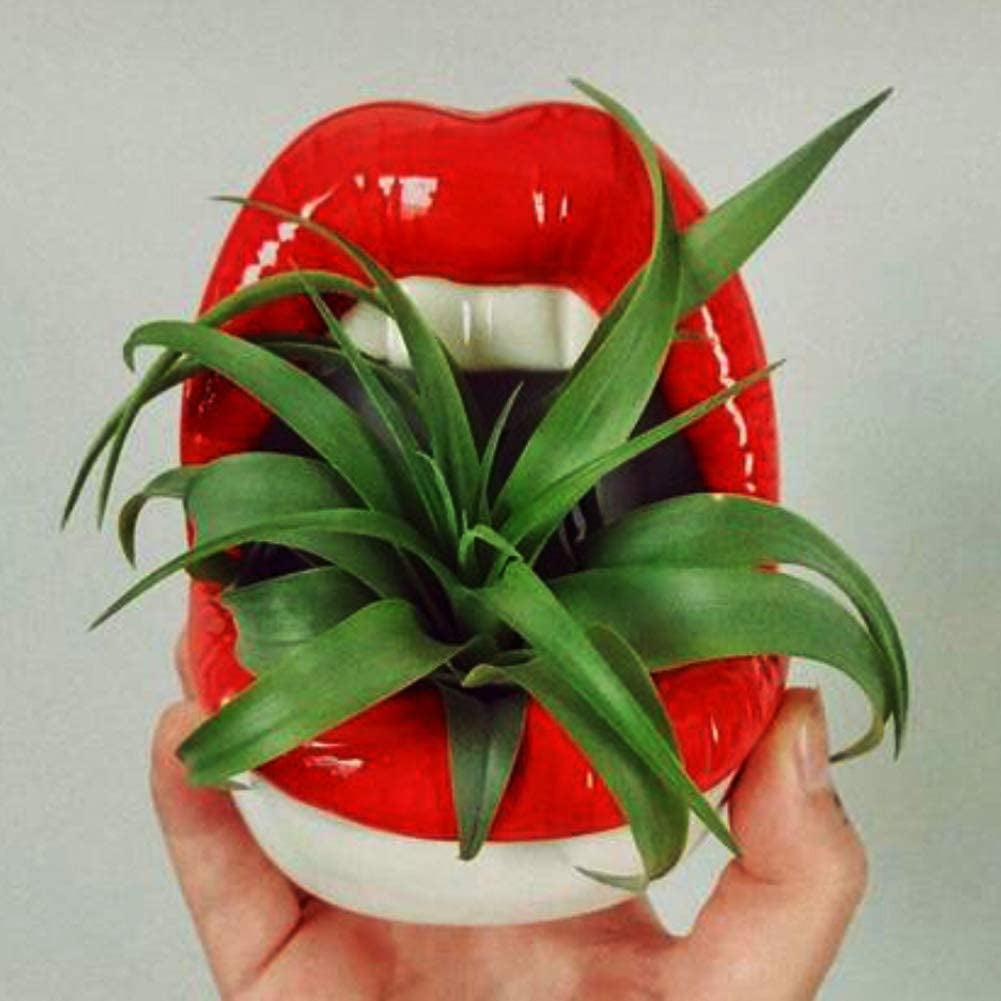 Lemonadeus Multi-Role Ceramic Sexy Lips Planter Stylish Lip Pot/Gadget Storage Mouth Planter Unique Ash Tray Ceramic Container (Red)